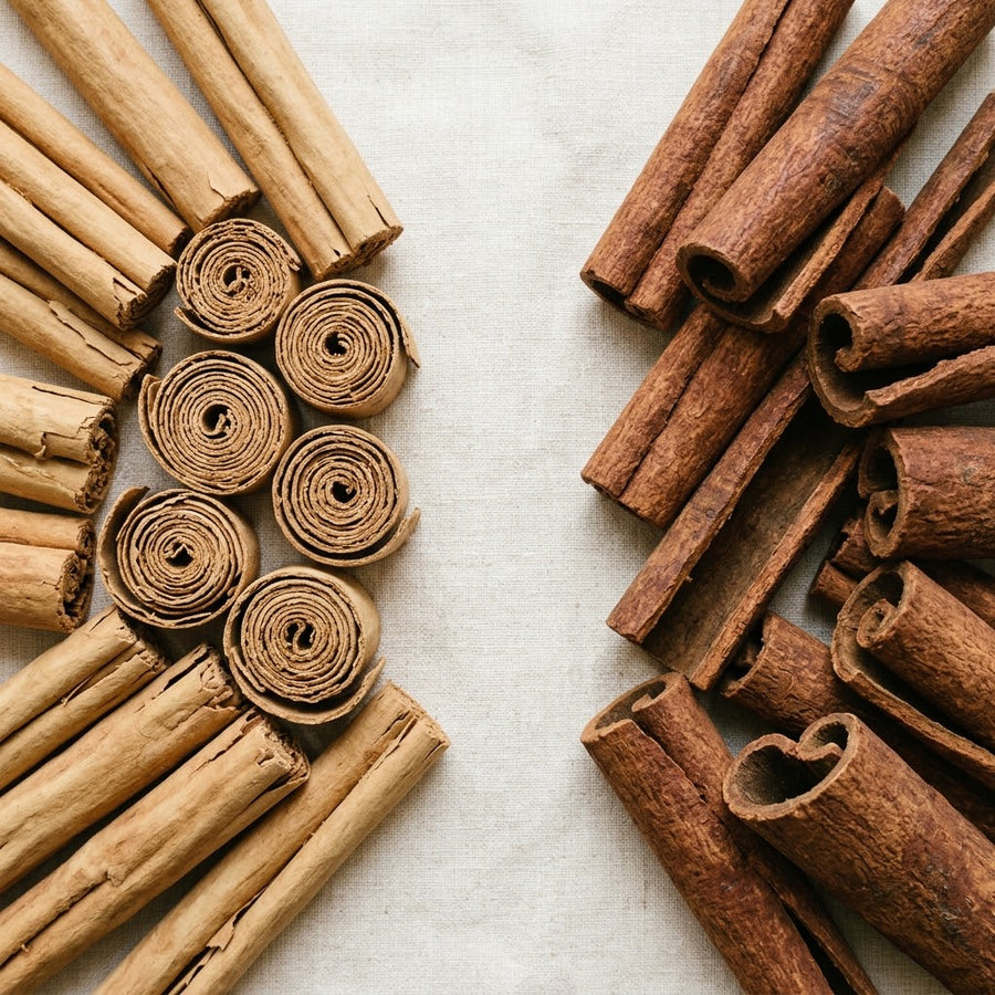 Ceylon cinnamon sticks next to Cassia cinnamon sticks